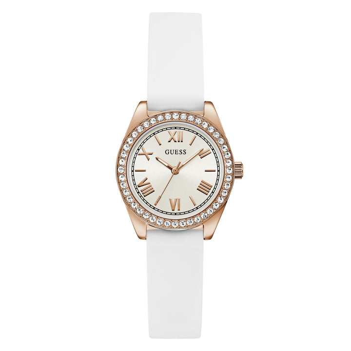 0109-GUXGW1000L300W01S-1