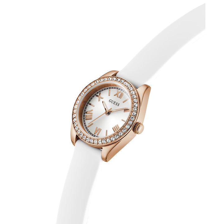 0109-GUXGW1000L300W01S-7