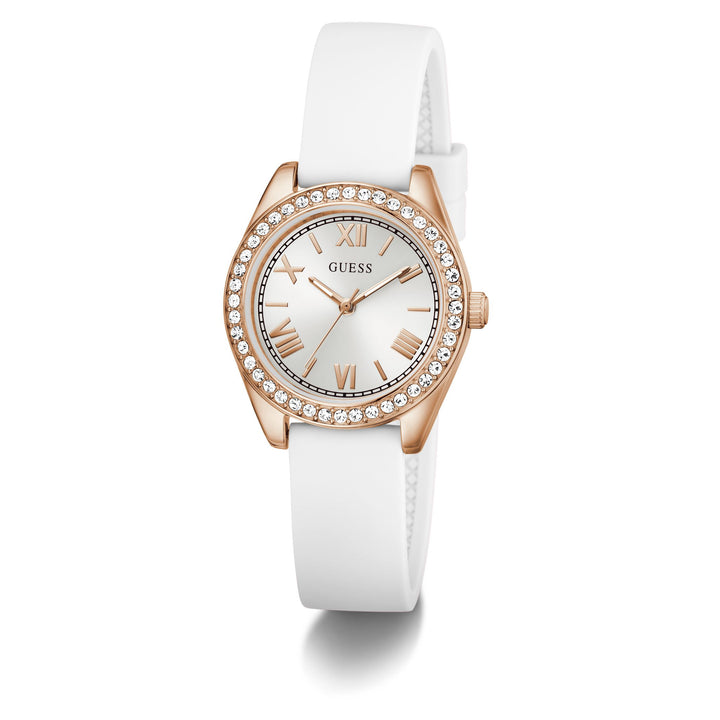 0109-GUXGW1000L300W01S-8
