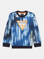 TODDLER BOY - ALL OVER PRINT SWEATSHIRT